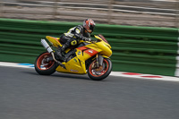 Lower Group Yellow Bikes